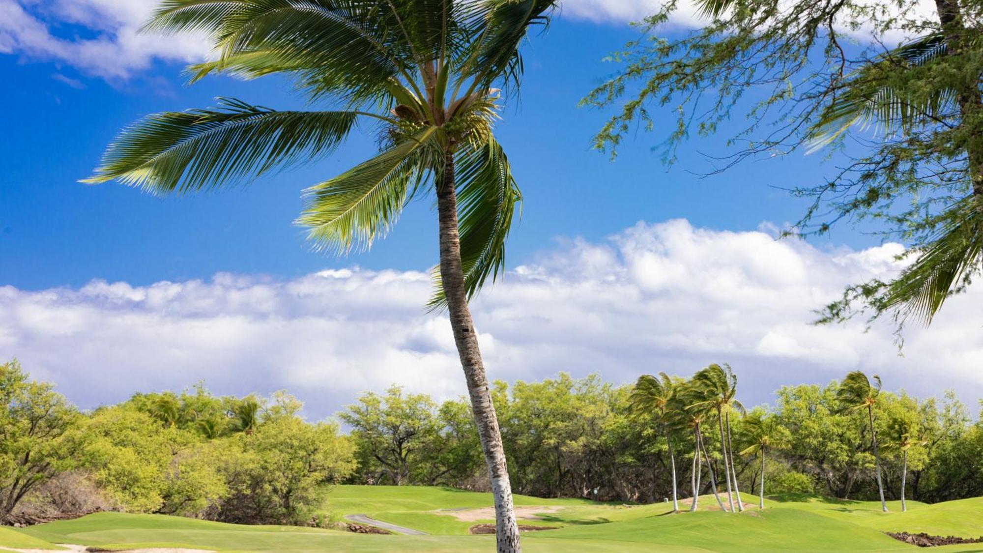 Hawaii Roma Elevated 4Br Kamilo Home With Golf Course View Waikoloa Exterior photo